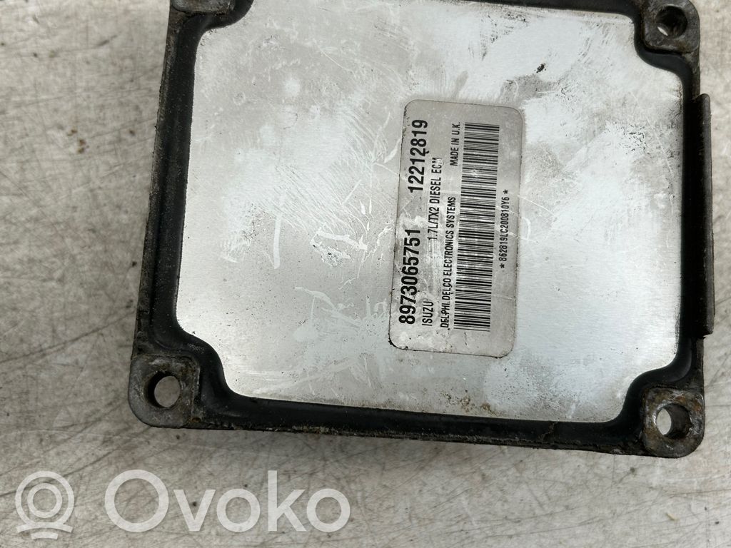 Engine control unit/module   12212819,8973065751