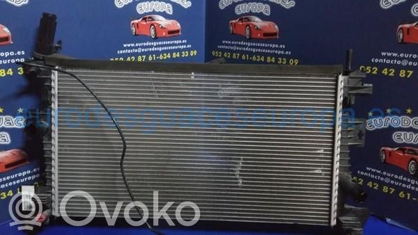 Engine oil radiator   BV618005AD