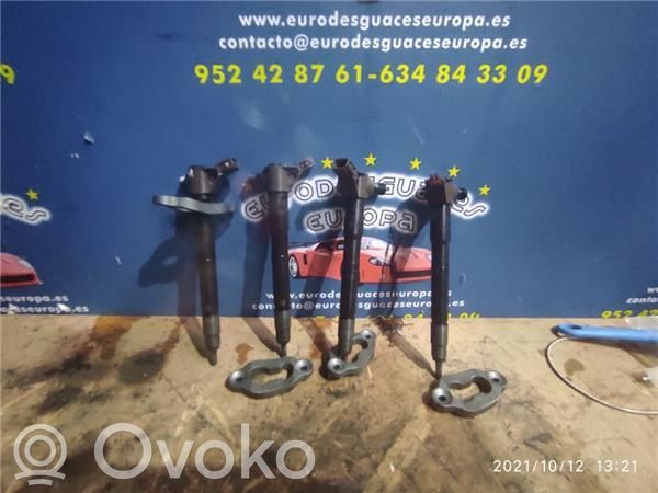 Inyector de combustible   SH0113H50
