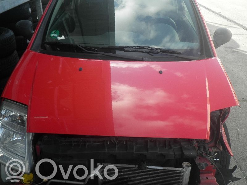 Motorhaube   7901K2