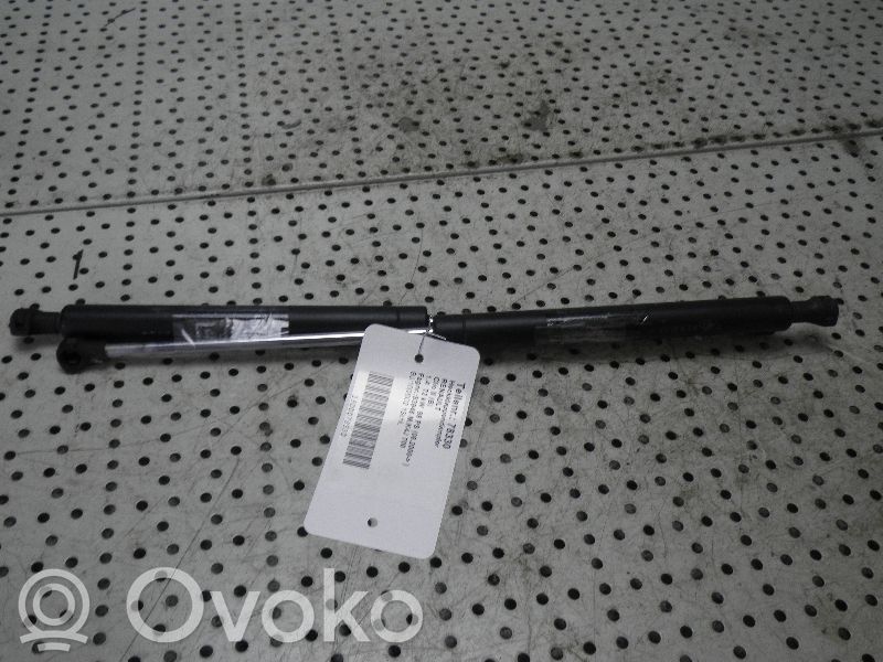 Tailgate/trunk strut/damper