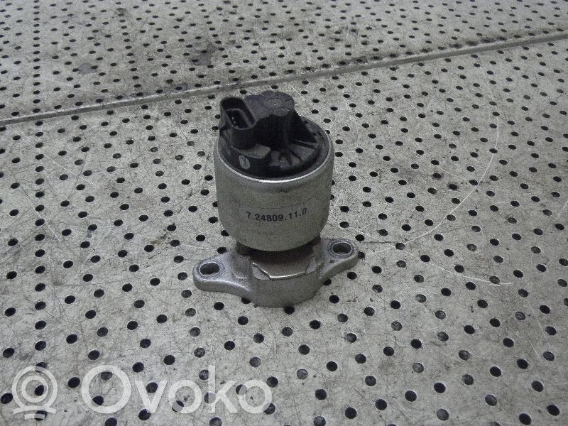 Válvula EGR   724809110