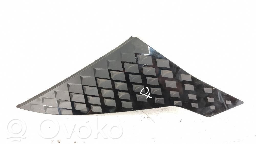 Moldura de la puerta trasera