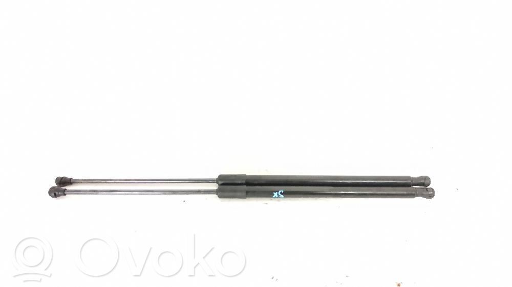 Tailgate/trunk strut/damper   5FA827550C