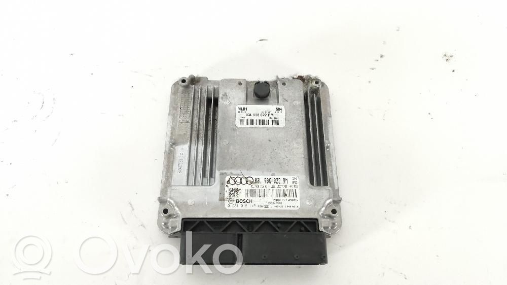 Engine control unit/module   03L906022RM