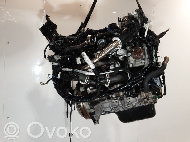 Ford Fiesta Engine 