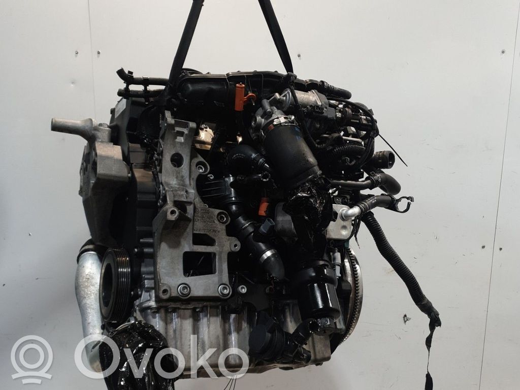 Motor   06F100098X