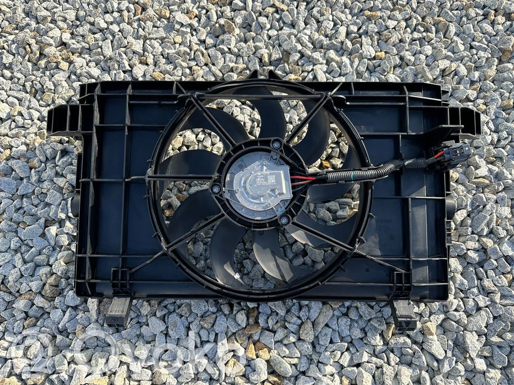 Elektrisks radiatoru ventilators   160780800A