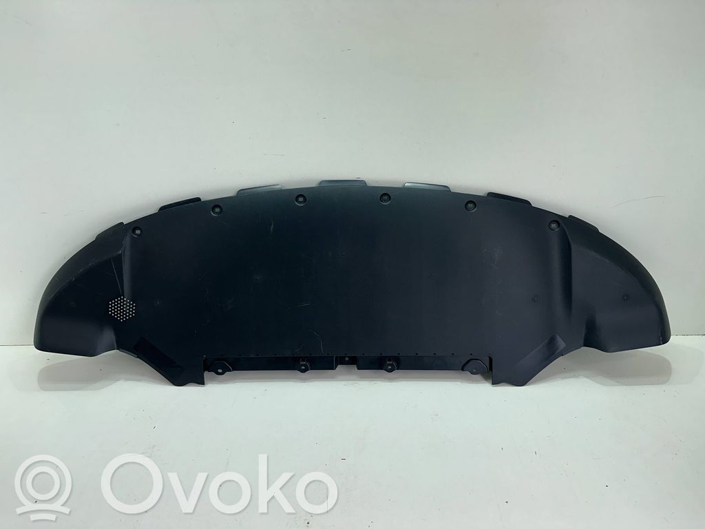 Tesla Model Y Variklio dugno apsauga 