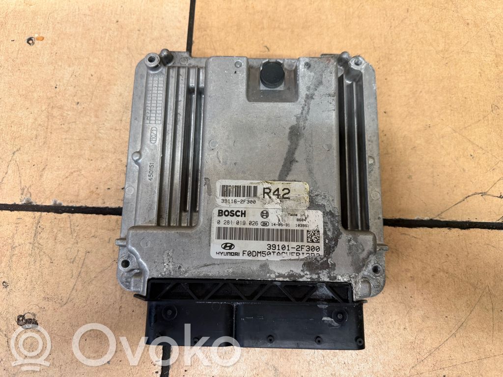 Hyundai Santa Fe Engine control unit/module 