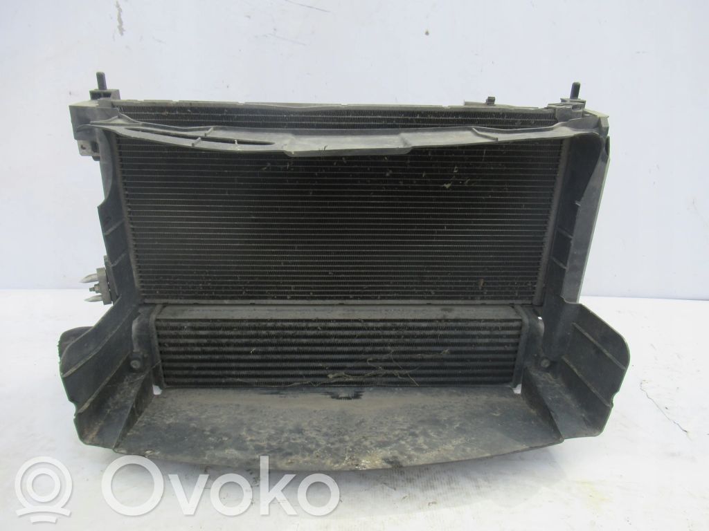 Radiator set   518969640