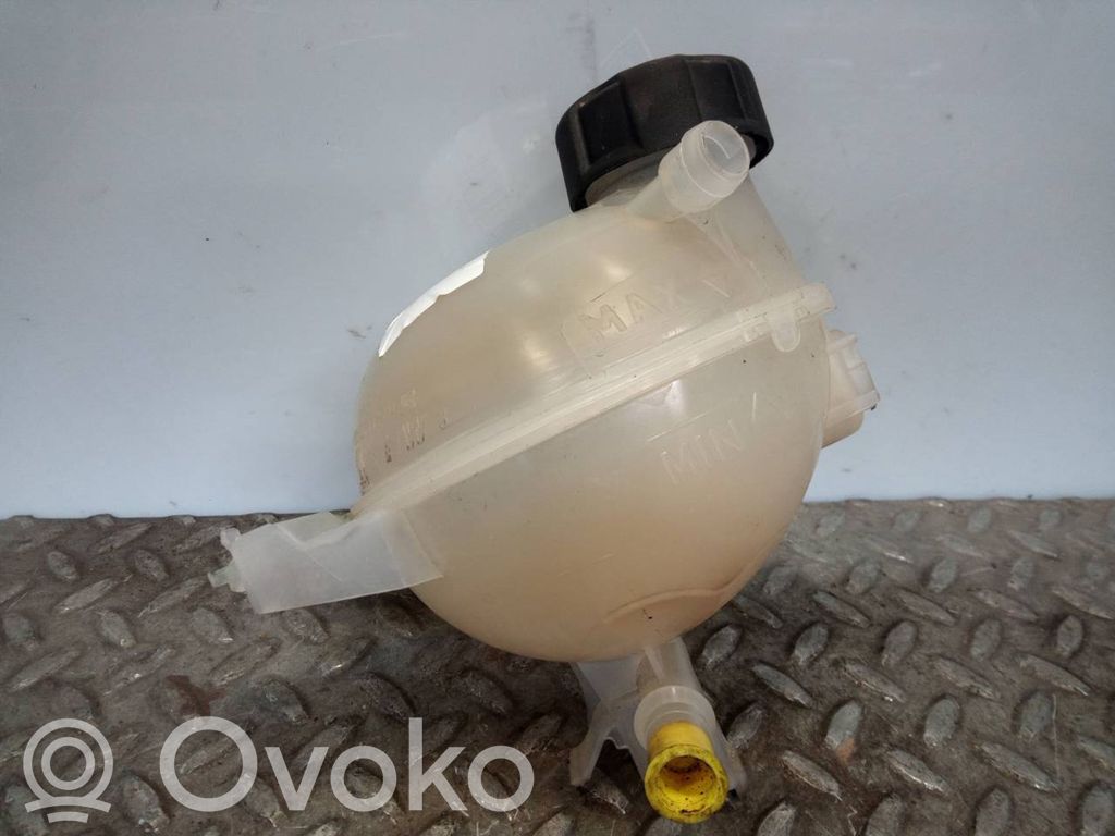 Citroen C3 Vaso di espansione carburante 
