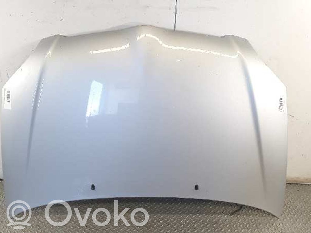 Motorhaube