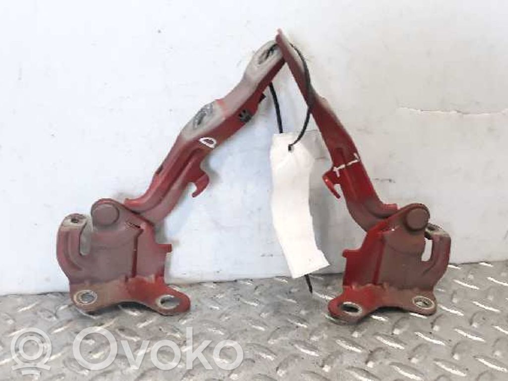 Bisagras del capó/tapa del motor