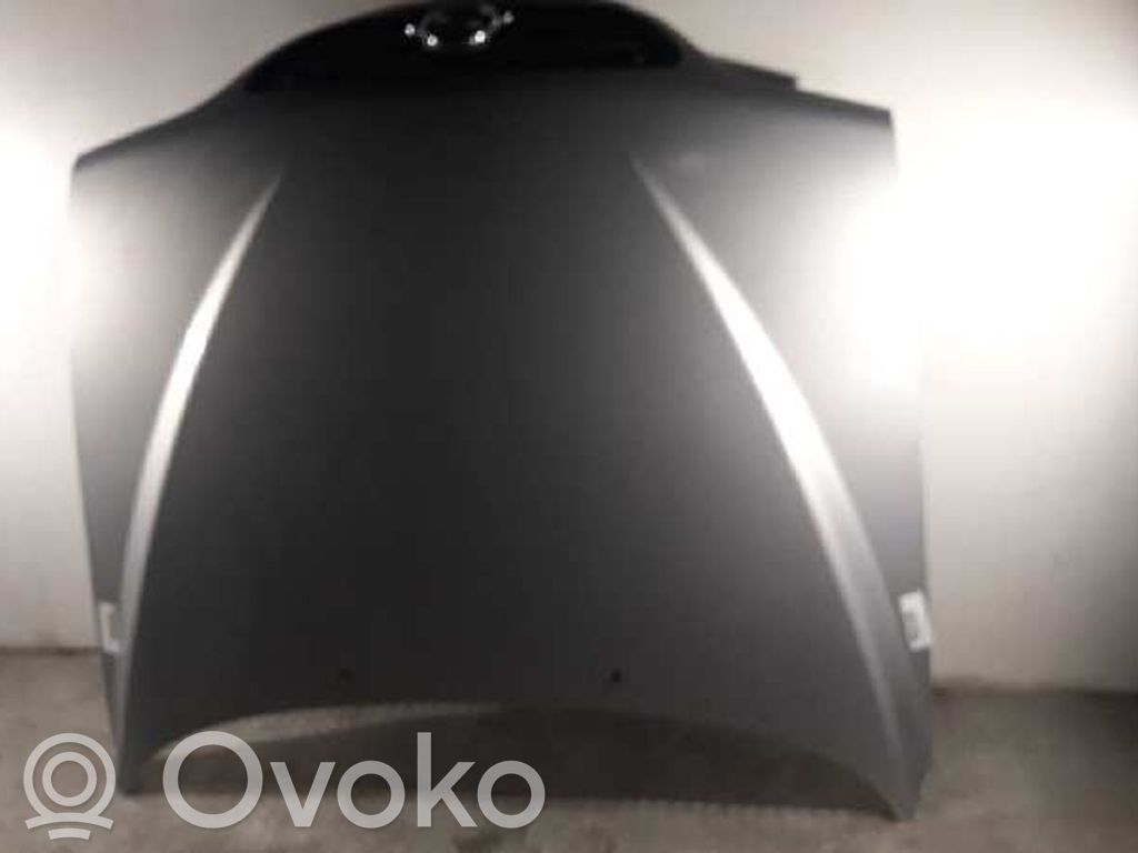 Motorhaube