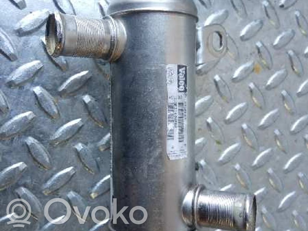 Peugeot 406 Valvola di raffreddamento EGR 