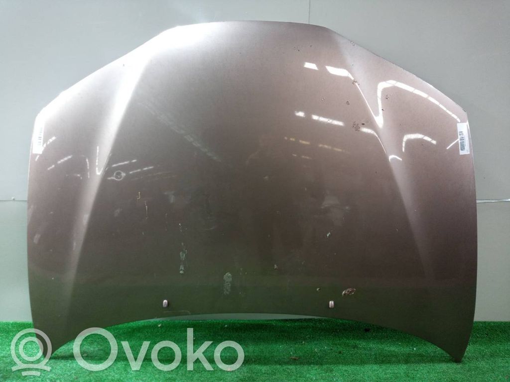 Engine bonnet/hood