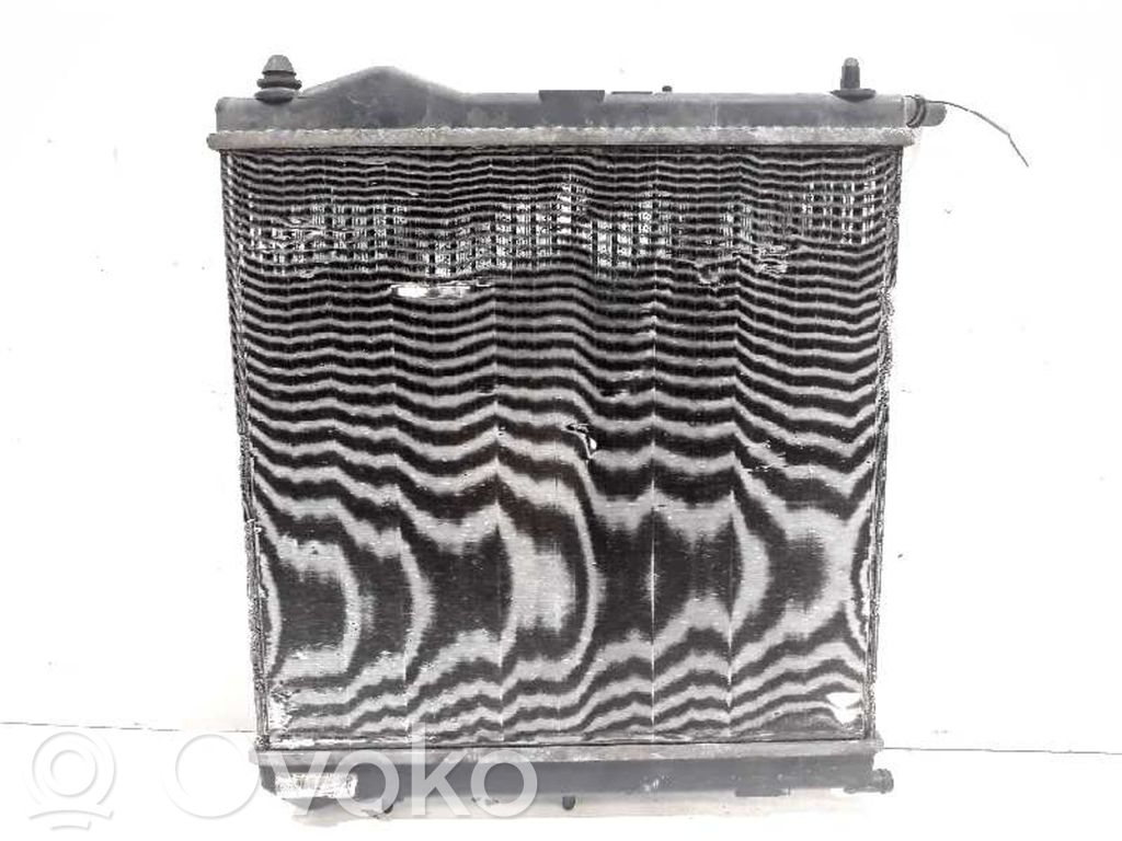 Coolant radiator   868567N
