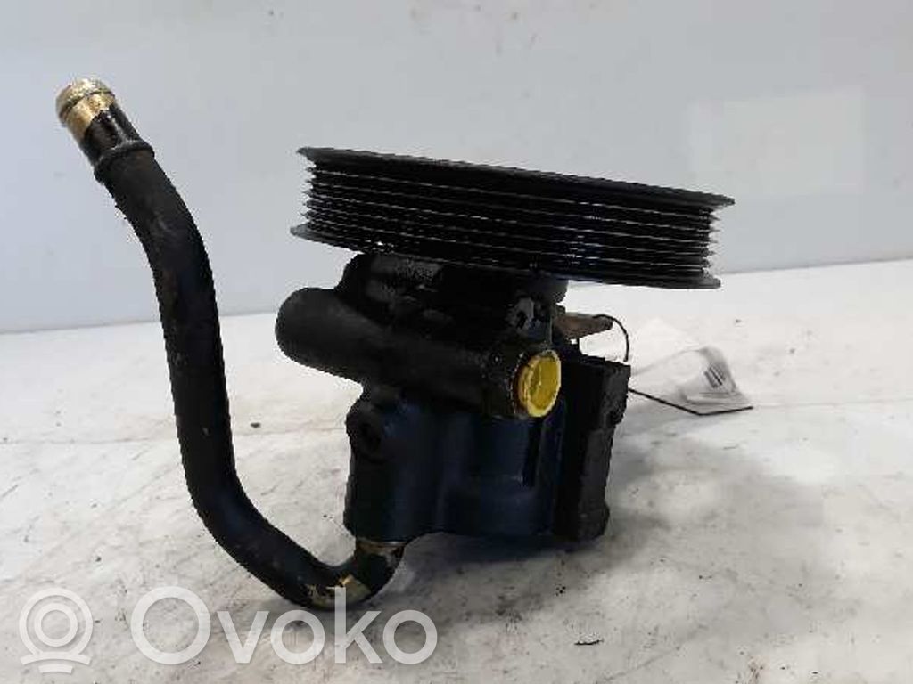 Ohjaustehostimen pumppu   2604,4955