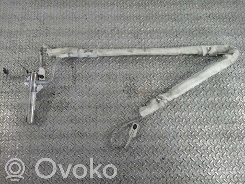 Airbag de la puerta delantera   8200215833B