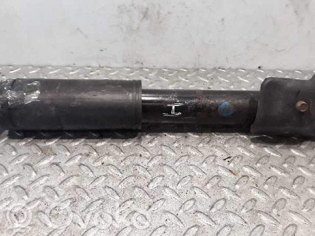 Stoßdämpfer hinten