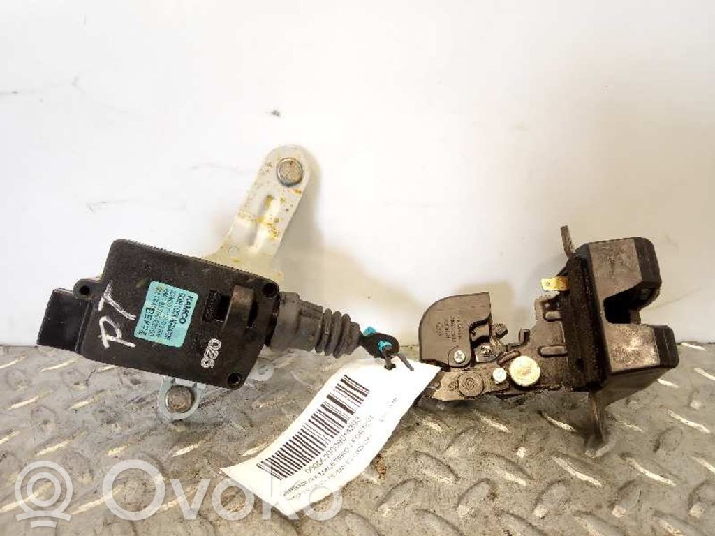 Hyundai Santa Fe Blocco chiusura del portellone 