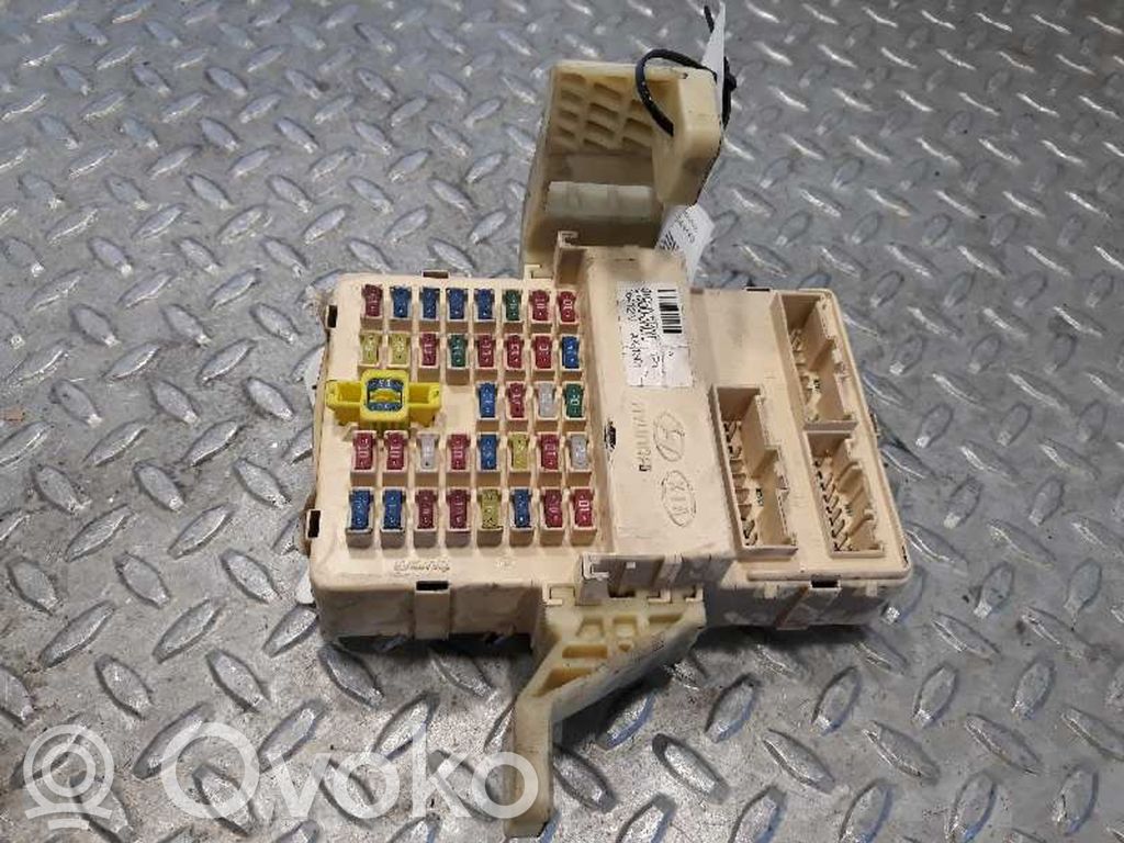BSM Control unit   919503K010