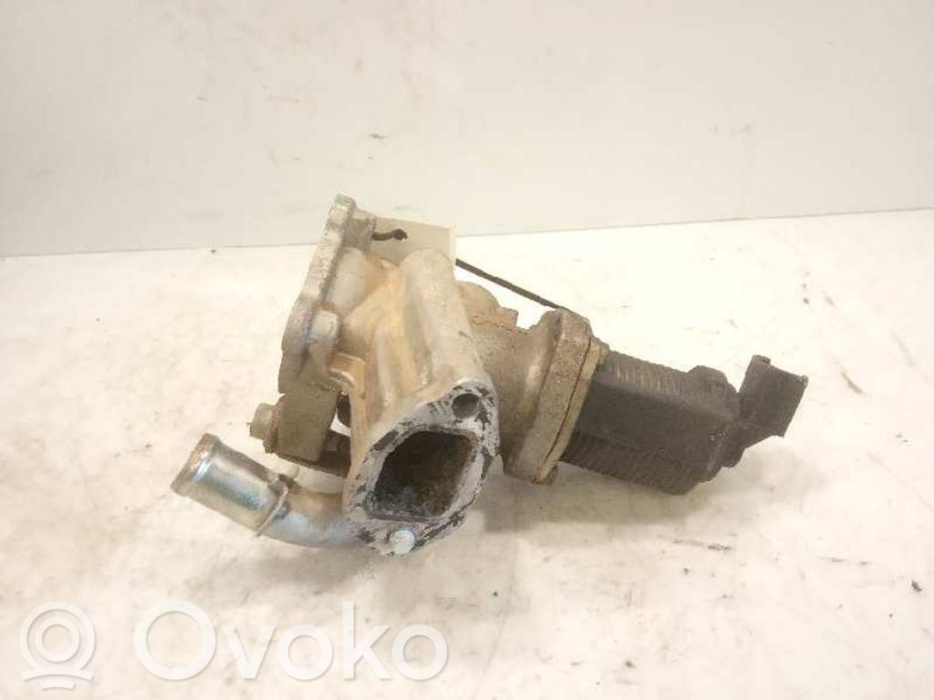 Válvula EGR   1110503214