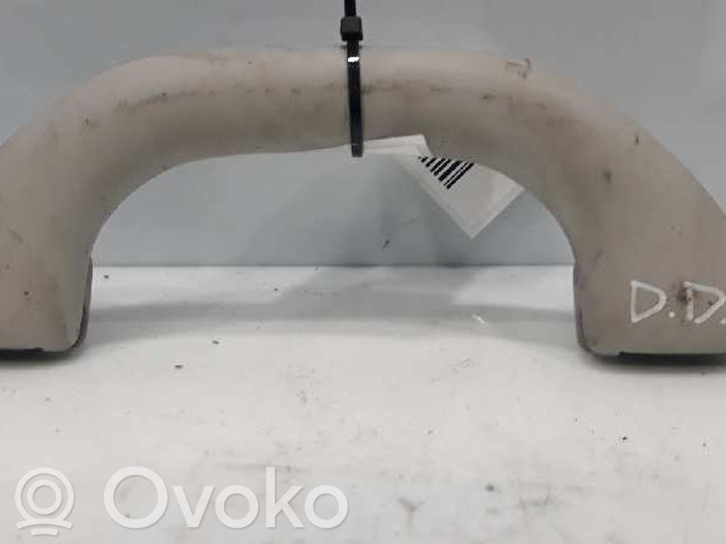 Skoda Rapid (NH) Haltegriff vorne 