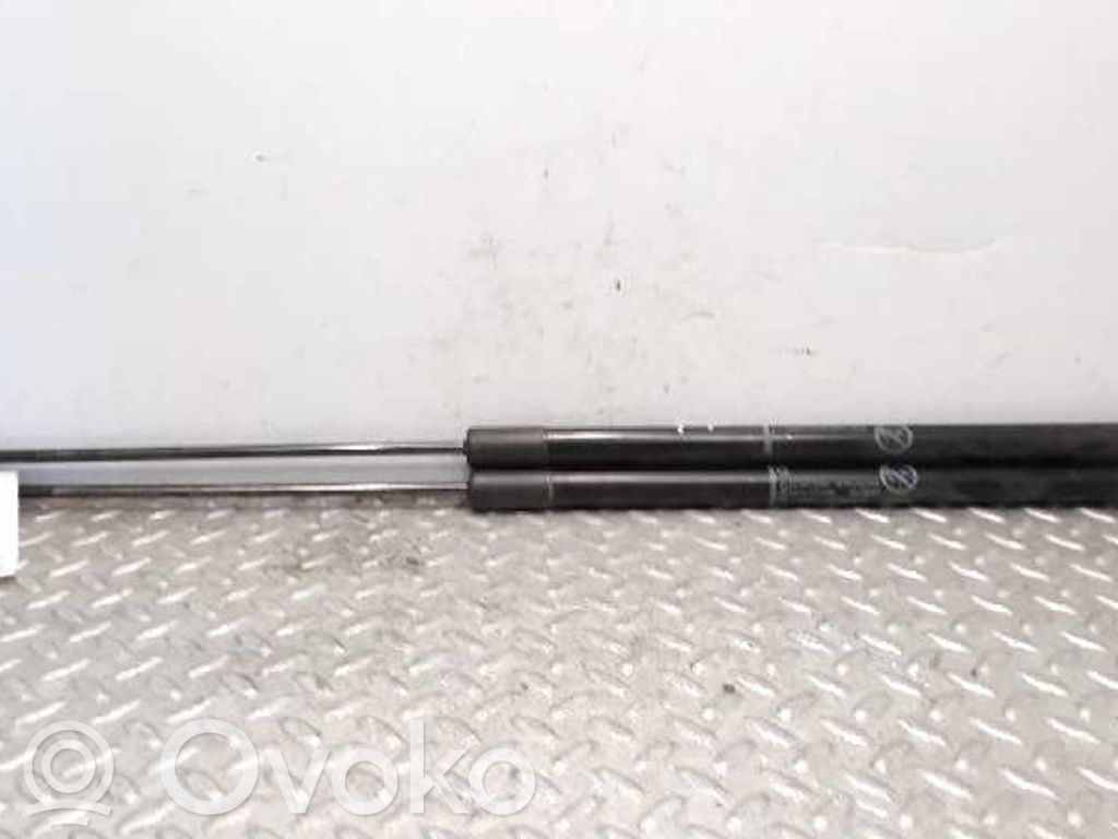 Ford Grand C-MAX Amortiguador/puntal del maletero/compartimento de carga 