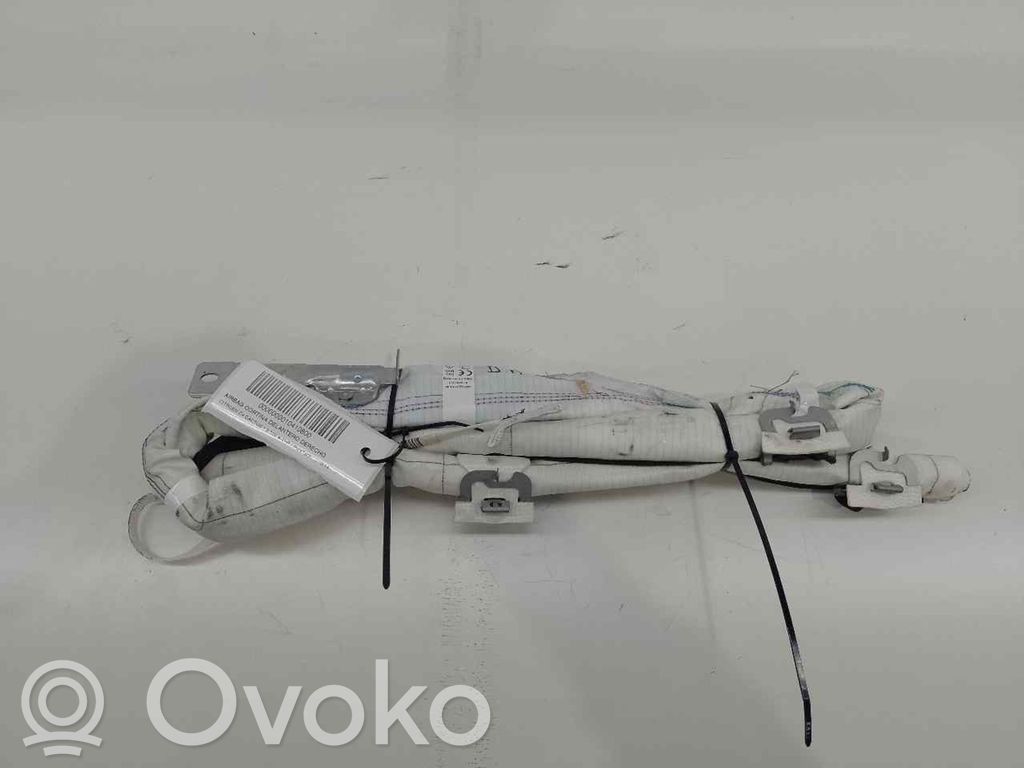 Citroen C4 Cactus Airbag de la puerta delantera 