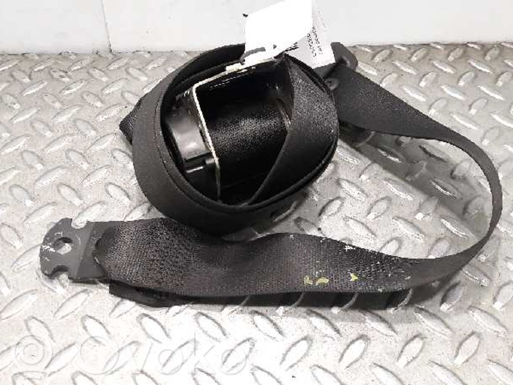 Cinturón trasero