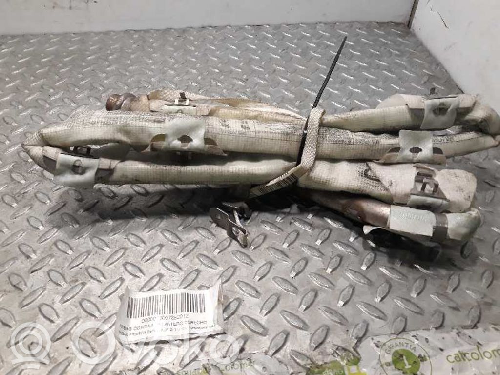 Nissan Primera Airbag de la puerta delantera 