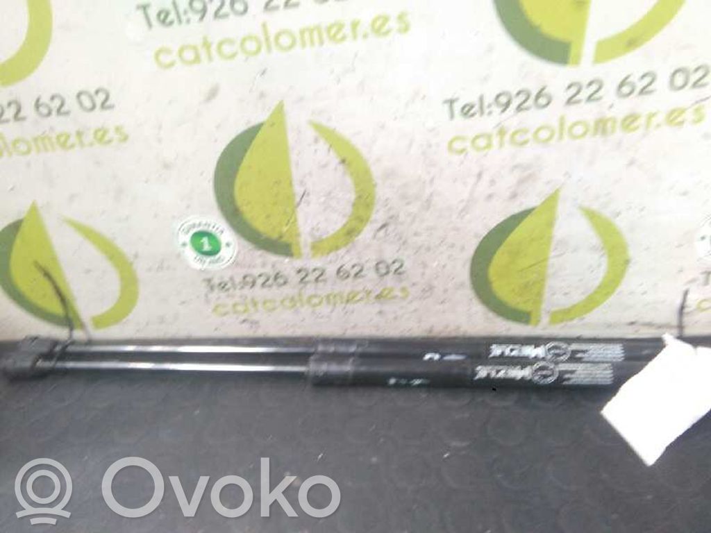 Skoda Fabia Mk2 (5J) Amortizor hayon 