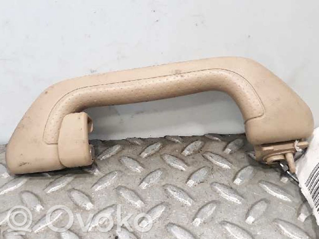 Asidero interior delantero