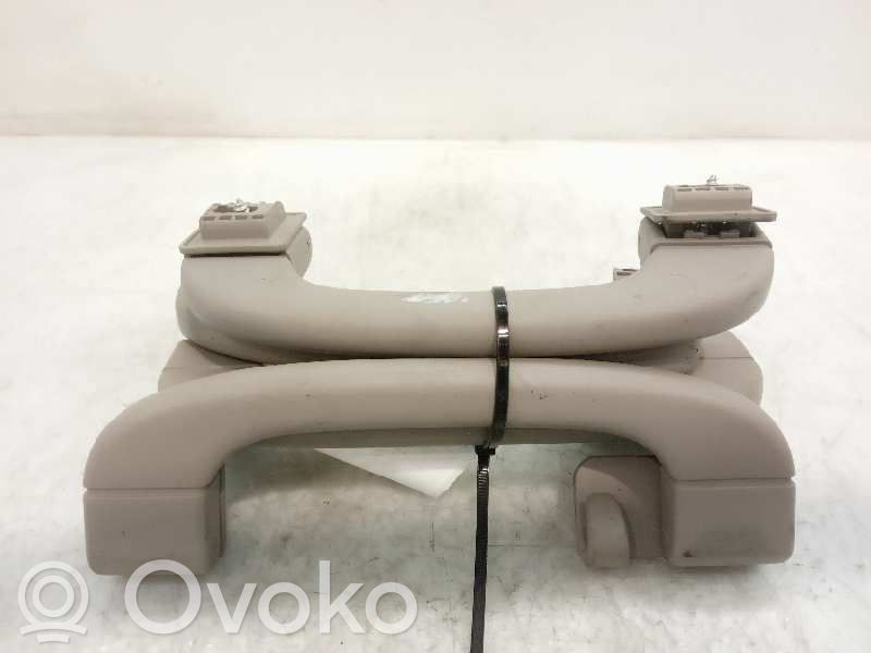 Asidero interior delantero