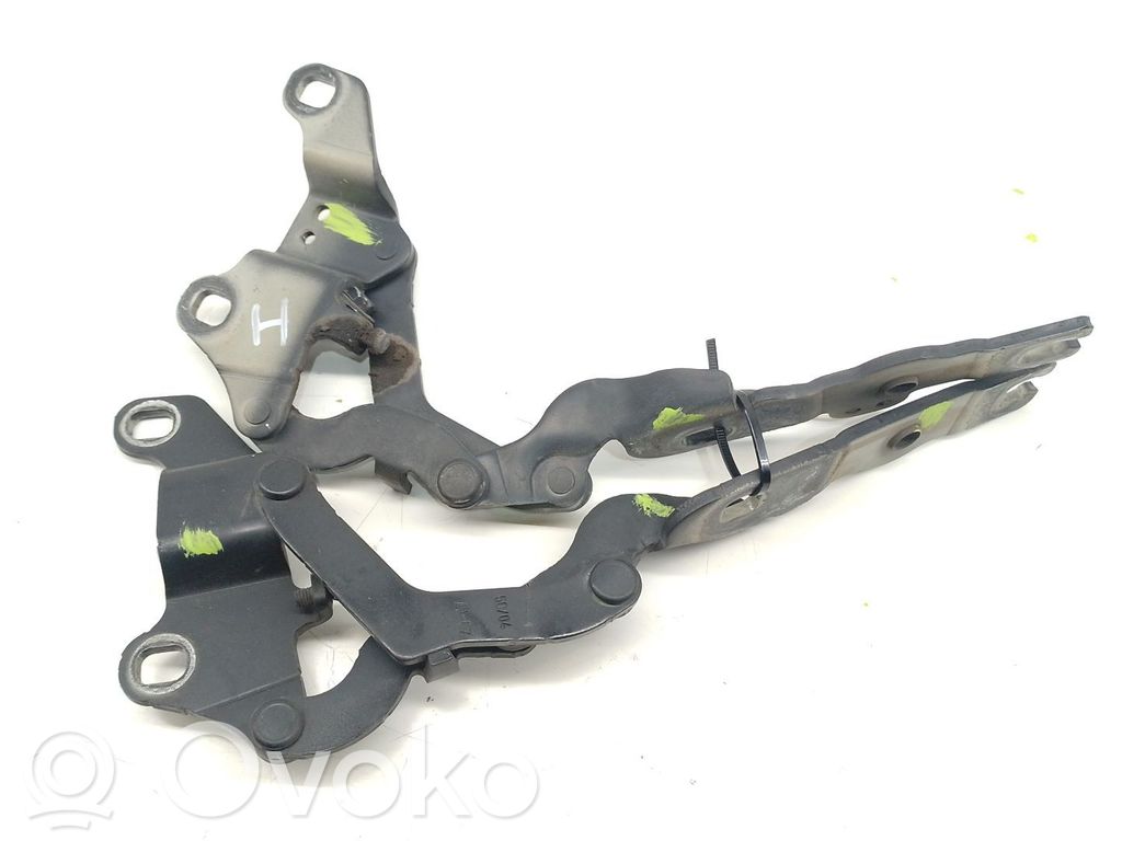 Scharnier Motorhaube   41617210673,41617210674