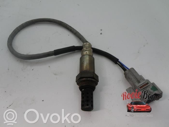 Sonda lambda   1491009022