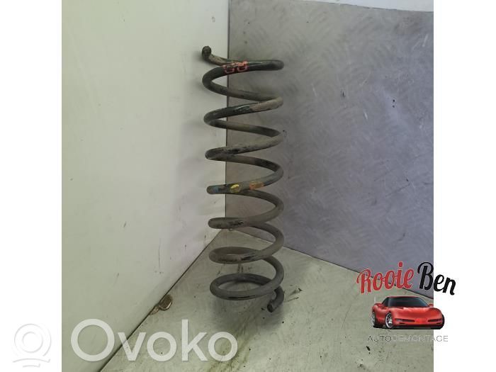 Rear coil spring