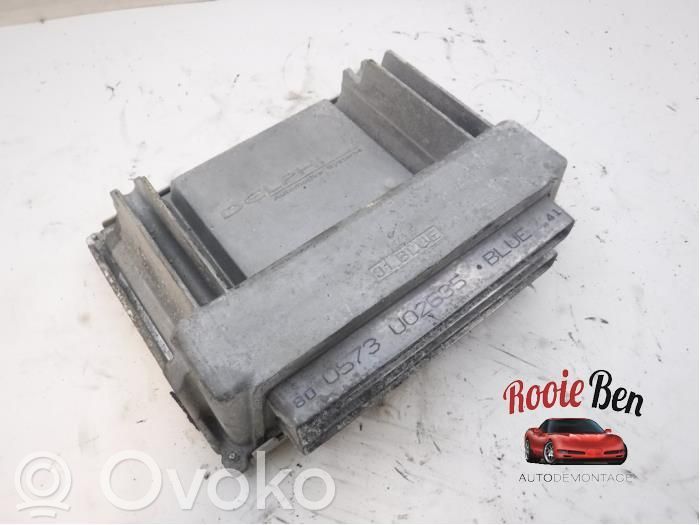 Chevrolet Trans Sport Engine control unit/module 