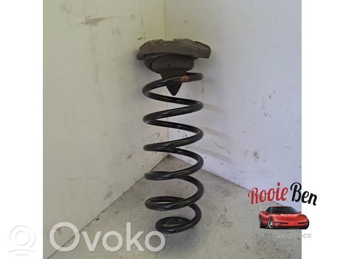 Rear coil spring