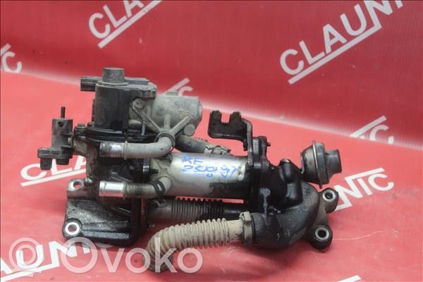Renault Megane III Chłodnica spalin EGR 