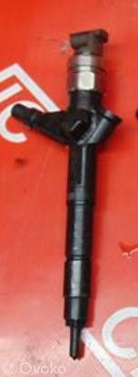 Nissan Pathfinder R51 Injector combustibil 