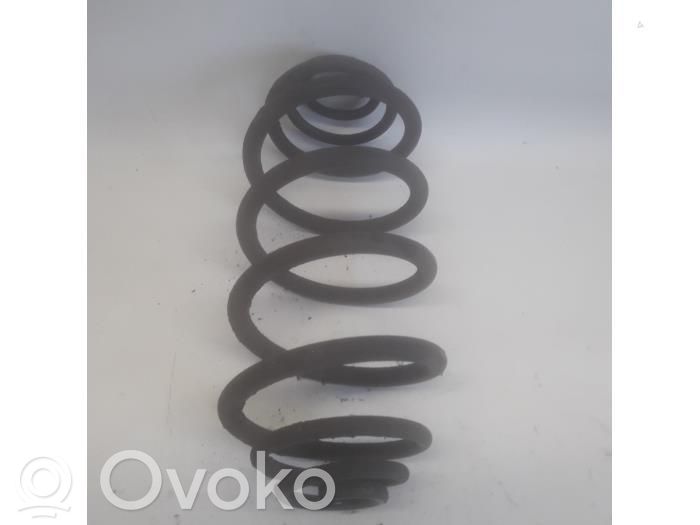 Renault Kangoo II Ansamblu amortizor cu arc spate 
