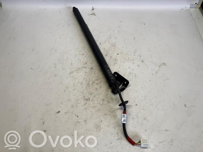 Tailgate/trunk strut/damper   20221104,904519468R,015109,015109,1607073880,20221104,831150,904519468R