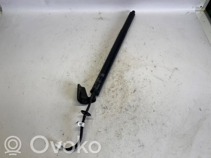 Renault Austral Tailgate/trunk strut/damper 