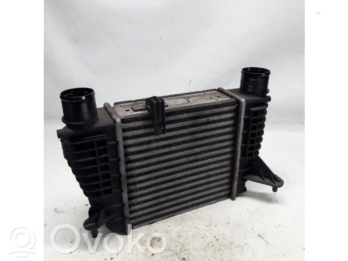 Renault Clio III Intercooler radiator 