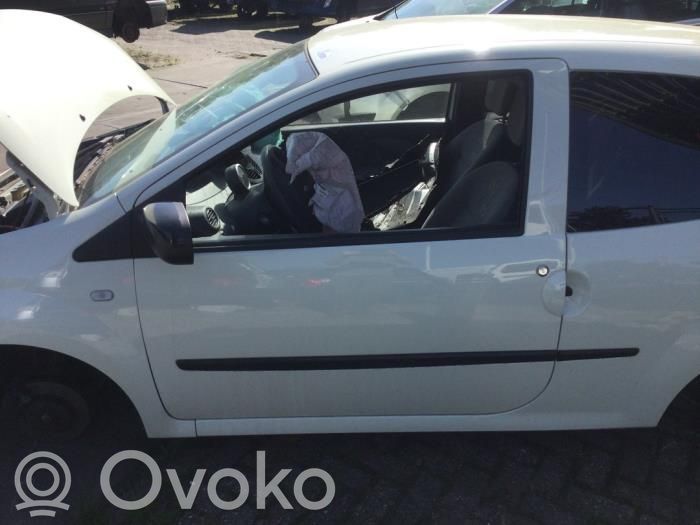 Renault Twingo II Front door 