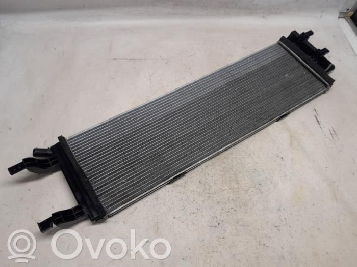 Renault Austral Coolant radiator 