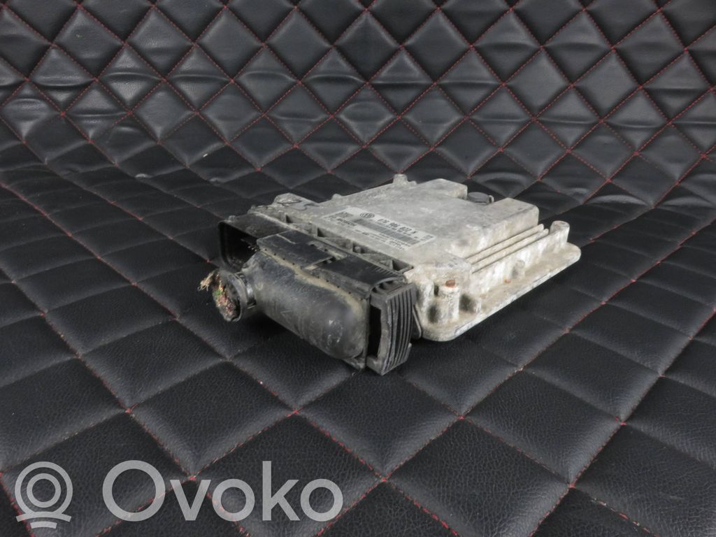 Volkswagen Crafter Engine control unit/module 